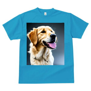 S[fgo[ ^ vg TVc  z   X|[c ނ   t EhlbN gbvX Y jZbNX fB[X IV  JW