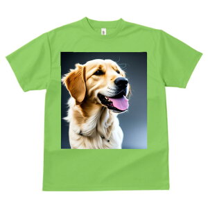 S[fgo[ ^ vg TVc  z   X|[c ނ   t EhlbN gbvX Y jZbNX fB[X IV  JW