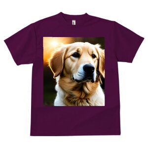 S[fgo[ ^ vg TVc  z   X|[c ނ   t EhlbN gbvX Y jZbNX fB[X I[o[TCY IV 