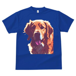 S[fgo[ ^ vg TVc  z   X|[c ނ   t EhlbN gbvX Y jZbNX fB[X IV  JW