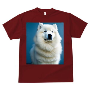 TGh vg TVc  z   ʕ X|[c ނ   t EhlbN gbvX Y jZbNX fB[X IV  JWA  