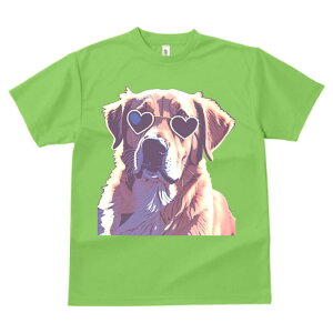 S[fgo[ ^ vg TVc  z   X|[c ނ   t TOX RXv EhlbN gbvX Y jZbNX fB[X IV