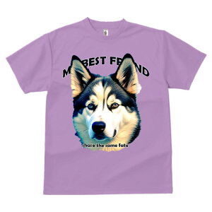 nXL[ ^ vg TVc  z   ʕ X|[c ނ  t EhlbN gbvX Y jZbNX fB[X IV  JWA 