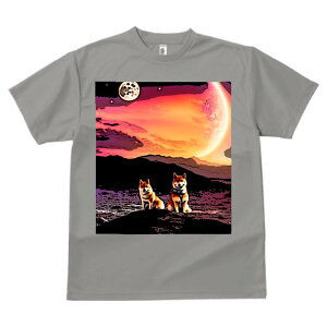 Č F vg TVc  z   ʕ X|[c ނ   t EhlbN gbvX Y jZbNX fB[X IV  JWA  