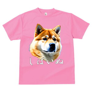 Č vg TVc  z   ʕ X|[c ނ   t EhlbN gbvX Y jZbNX fB[X IV  JWA  Aj