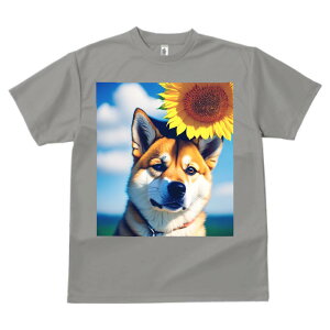 Č Ђ܂ vg TVc  z   ʕ X|[c ނ   t EhlbN gbvX Y jZbNX fB[X IV  JWA 