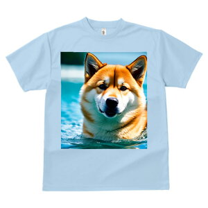 Č vg TVc  z   ʕ X|[c ނ   t EhlbN gbvX Y jZbNX fB[X IV  JWA  Aj