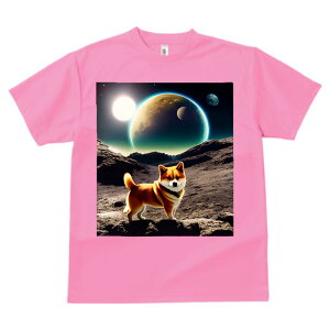 Č F vg TVc  z   ʕ X|[c ނ   t EhlbN gbvX Y jZbNX fB[X IV  JWA  