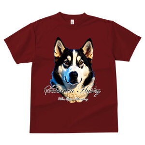 nXL[ ^ vg TVc  z   ʕ X|[c ނ  t EhlbN gbvX Y jZbNX fB[X IV  JWA 