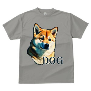 Č vg TVc  z   ʕ X|[c ނ   t EhlbN gbvX Y jZbNX fB[X IV  JWA  Aj