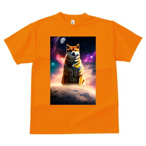 Č vg TVc  z   ʕ X|[c ނ   t EhlbN gbvX Y jZbNX fB[X IV  JWA  Aj