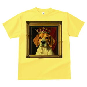  r[O z G M TVc Y LbY t@  t vg JWA 킢 lԗp