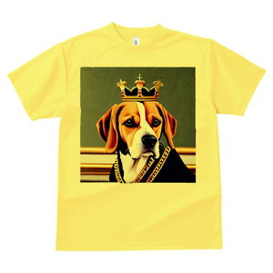  r[O l̈ߑ ǎ TVc Y LbY t@  t vg JWA 킢 lԗp