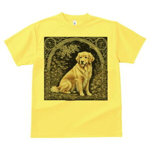 A[` S[fgo[  R i t@^W[ TVc Y LbY t@  t vg JWA 킢 lԗp