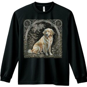 A[` S[fgo[  R i t@^W[ TVc lԗp Y Ht vg W[ AEghA JWA 킢