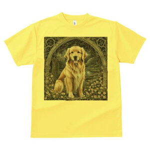 A[` S[fgo[  X  TVc Y LbY t@  t vg JWA 킢 lԗp