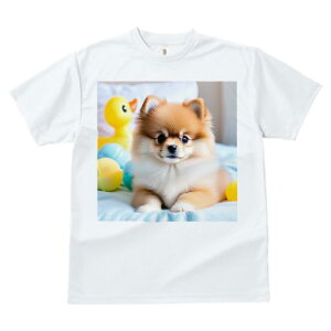 ʂ |jA  xbh  tt TVc Y LbY t@  t vg JWA 킢 lԗp