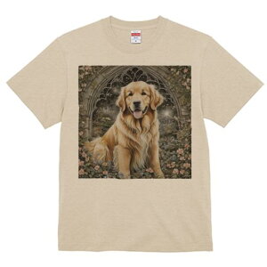  S[fgo[ A[`  A  TVc Y LbY t@  t vg JWA 킢 lԗp