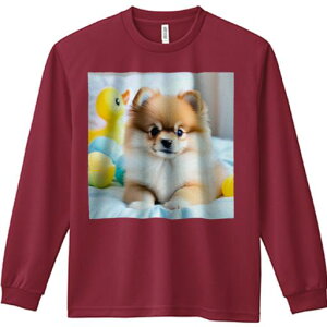 ʂ |jA  xbh  tt TVc lԗp Y Ht vg W[ AEghA JWA 킢