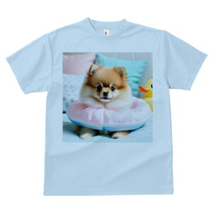 sN̕ |jA FAq̂ NbV TVc Y LbY t@  t vg JWA 킢 lԗp