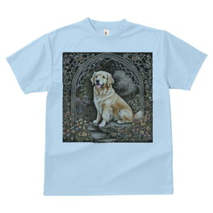 A[` S[fgo[  t  TVc Y LbY t@  t vg JWA 킢 lԗp