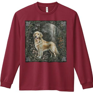  S[fgo[  Ki X  TVc lԗp Y Ht vg W[ AEghA JWA 킢