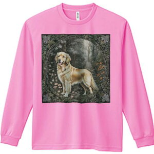  S[fgo[  Ki X  TVc lԗp Y Ht vg W[ AEghA JWA 킢