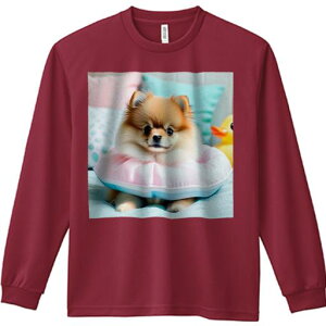 sN̕ |jA FAq̂ NbV TVc Y TVc lԗp Ht vg W[ AEghA JWA 킢