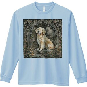 A[` S[fgo[  t  TVc TVc lԗp Y Ht vg W[ AEghA JWA 킢