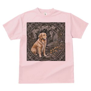 �� �S�[���f�����g���o�[ �A�[�` �΂̊K�i �A�� T�V���c �����Y �L�b�Y ���t�@�� ���� �t�� �v�����g �J�W���A�� ���킢�� �l�ԗp