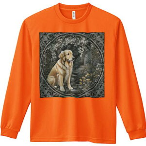 �� �S�[���f�����g���o�[ �A�[�` �΂̊K�i �A�� T�V���c ����T�V���c �l�ԗp �����Y �H�t�� �v�����g ���W���[ �A�E�g�h�A �J�W���A�� ���킢��