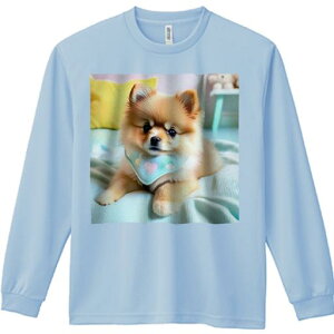 NbV |jA ʂ TVc Y LbY TVc lԗp Ht vg W[ AEghA JWA 킢