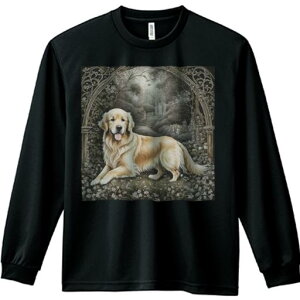 뉀 S[fgo[ A[`  Ki K[{ TVc lԗp Y Ht vg W[ AEghA JWA 킢