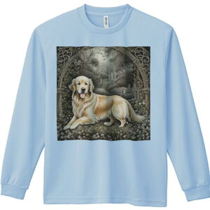 뉀 S[fgo[ A[`  Ki K[{ TVc lԗp Y Ht vg W[ AEghA JWA 킢