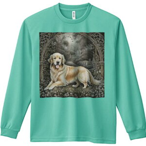 뉀 S[fgo[ A[`  Ki K[{ TVc lԗp Y Ht vg W[ AEghA JWA 킢