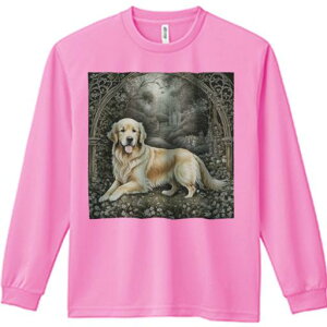 뉀 S[fgo[ A[`  Ki K[{ TVc lԗp Y Ht vg W[ AEghA JWA 킢