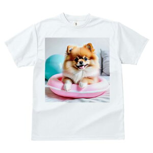 D |jA sN̕    TVc Y LbY t@  t vg JWA 킢 lԗp