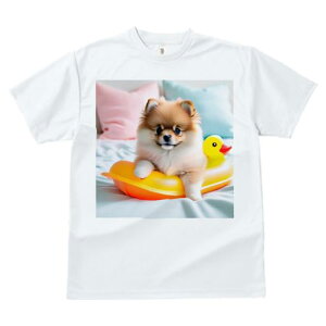 F̕ |jA FAq̂ sN̖  zc TVc Y LbY t@  t vg JWA 킢 lԗp