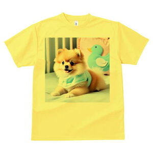 xbh |jA q Aq̂ʂ NbV TVc Y LbY t@  t vg JWA 킢 lԗp