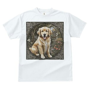  S[fgo[ wi A[`  ΂̊Ki TVc Y LbY t@  t vg JWA 킢 lԗp