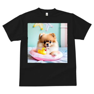 S̃Aq |jA sN̕ ̏ TVc Y LbY t@  t vg JWA 킢 lԗp