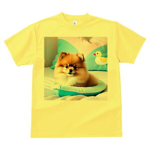 Aq̂ʂ |jA JtȃNbV pxbh xbh TVc Y LbY t@  t vg JWA 킢 lԗp