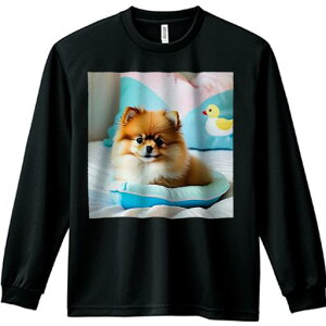 Aq̂ʂ |jA JtȃNbV pxbh xbh TVc TVc lԗp Y Ht vg W[ AEghA JWA 킢