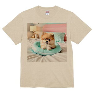 xbh |jA  v Ɩ ʂ TVc Y LbY t@  t vg JWA 킢 lԗp