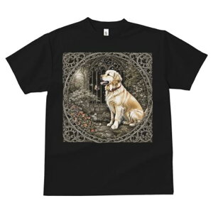  S[fgo[  A[` R Α TVc Y LbY t@  t vg JWA 킢 lԗp