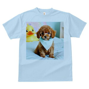 Aq̂ʂ gCv[h o_i xbhJo[ pXeJ[̔wi TVc Y LbY t@  t vg JWA 킢 lԗp