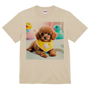 Aq gCv[h ʂ xr[pi Jt 킢 TVc Y LbY t@  t vg JWA lԗp