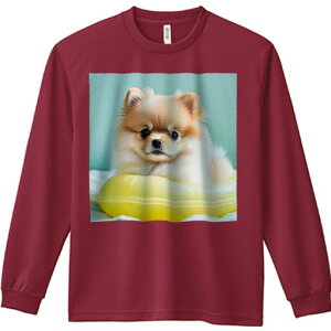 F̕ |jA 킢 tt F̔wi TVc TVc lԗp Y Ht vg W[ AEghA JWA