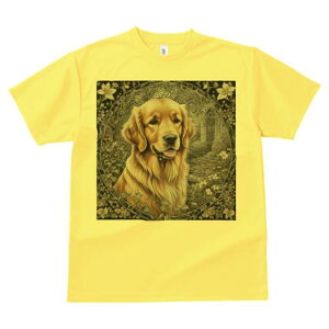  S[fg[o[  Ki } t TVc Y LbY t@  t vg JWA 킢 lԗp