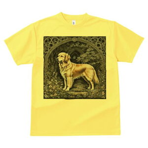 TVc Y LbY t@  t vg JWA 킢 lԗp tBbglX }b` A[` S[fgo[   